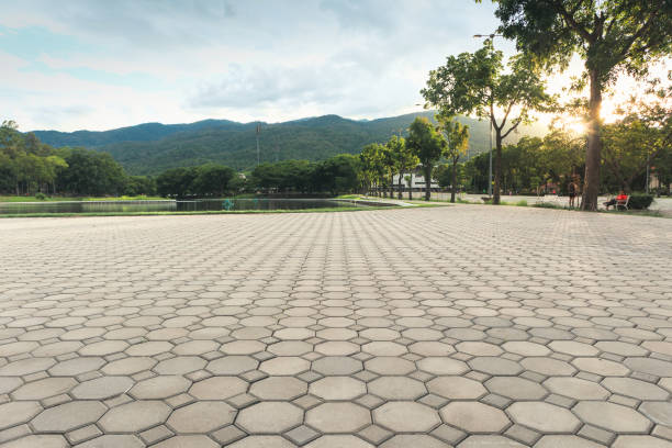 Best Residential Paver Driveway  in Kalona, IA